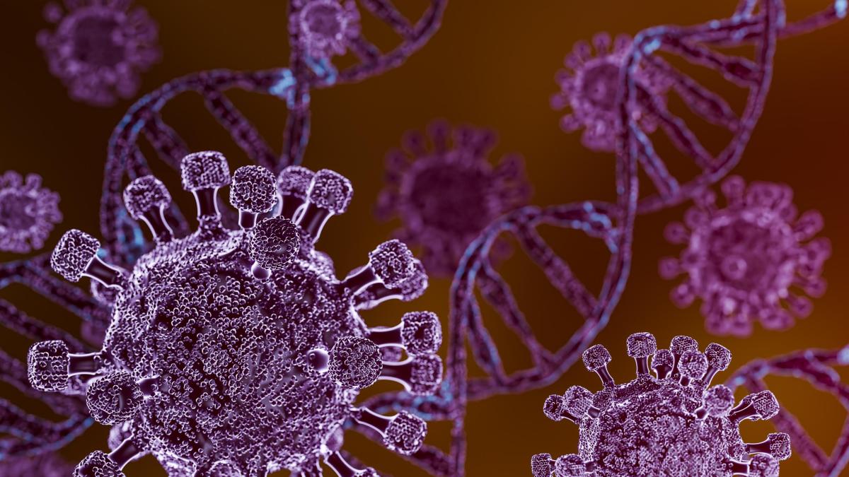 <![CDATA[Detectan posible caso de hantavirus de tercera generación un vuelo]]>