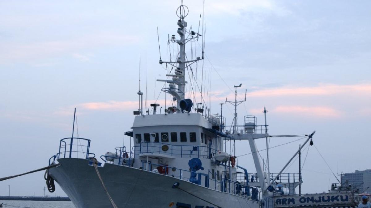 <![CDATA[De la Armada para el mar; Secretaría de Marina hundirá buque para crear arrecife artificial]]>