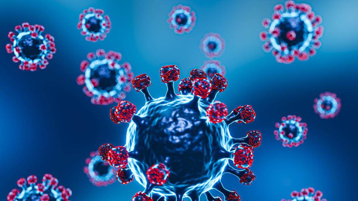 <![CDATA[Confirman que ocho casos en brote de hantavirus son de la cepa de los Andes: OMS]]>