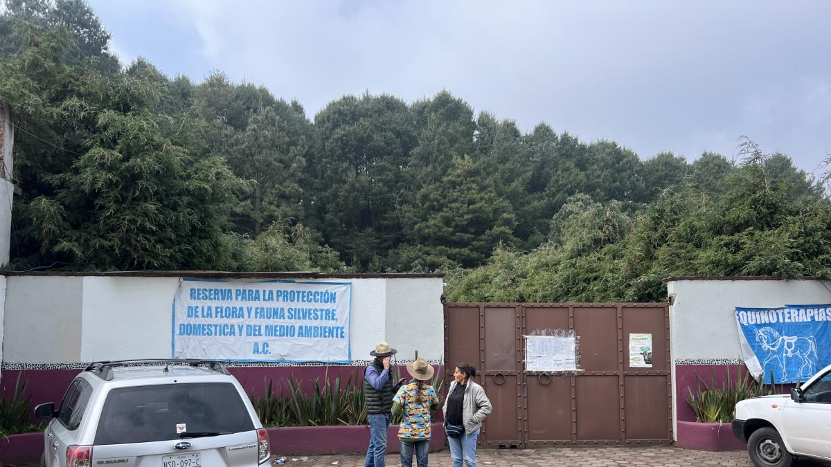 <![CDATA[Plantan a directora del Refugio Franciscano en visita a reserva del Ajusco]]>