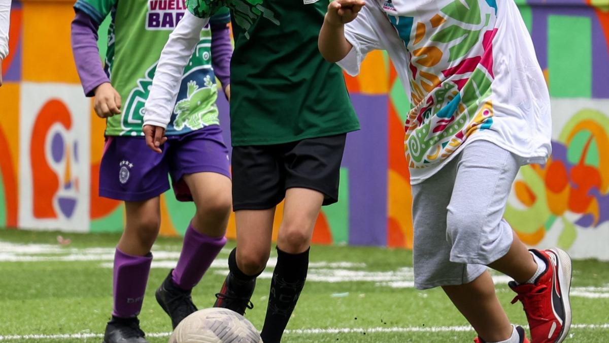 <![CDATA[Partido Verde propone canchas seguras para mujeres en CDMX]]>