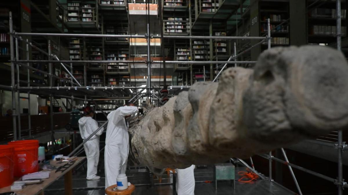 <![CDATA[¿Qué le pasa a la ballena de la Biblioteca Vasconcelos? Analizan manchas en obra de Gabriel Orozco]]>