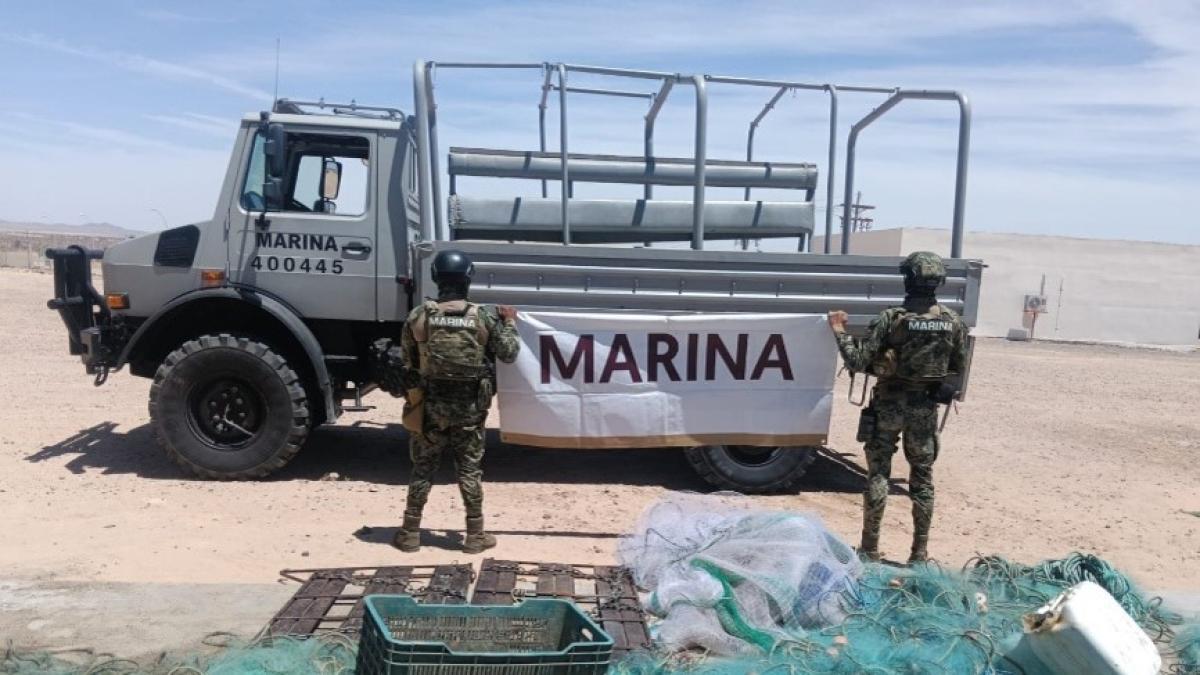 <![CDATA[Semar asegura herramientas de pesca prohibidas en Sonora]]>