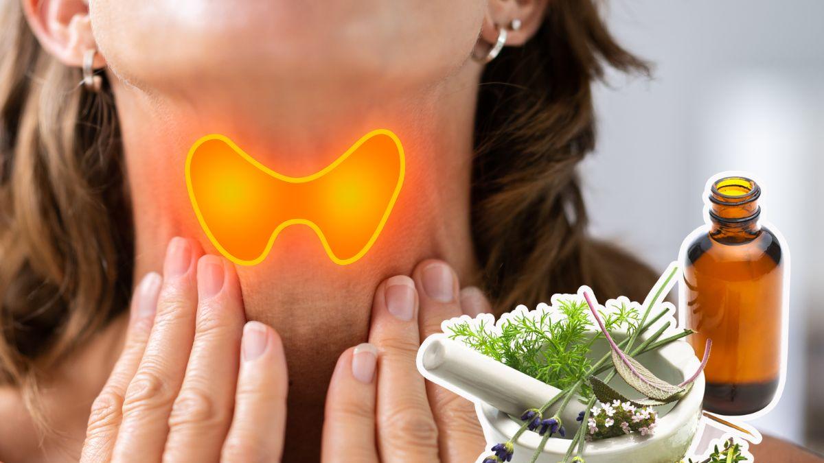 <![CDATA[3 plantas medicinales para la tiroides: alivio natural para tu metabolismo]]>