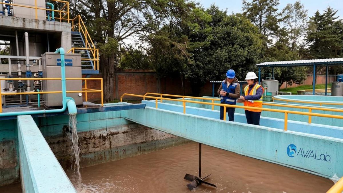 <![CDATA[Empresas necesitan modelos QHSE para competir: Awalab de México]]>