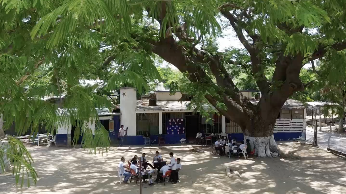 <![CDATA[Aulas a 45°C en Oaxaca: Alumnos se turnan un ventilador y toman clases bajo un árbol]]>