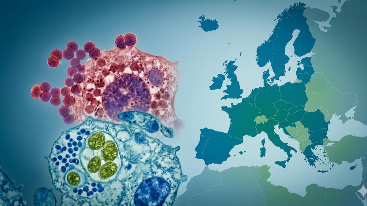 <![CDATA[Gonorrea y sífilis alcanzan récord histórico en Europa]]>
