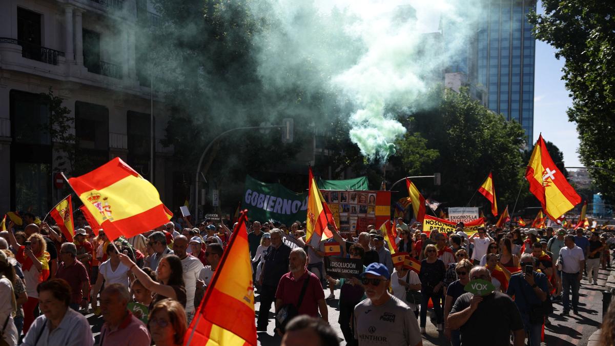 <![CDATA[Vox y sectores conservadores encabezan multitudinaria marcha contra presidente de España]]>