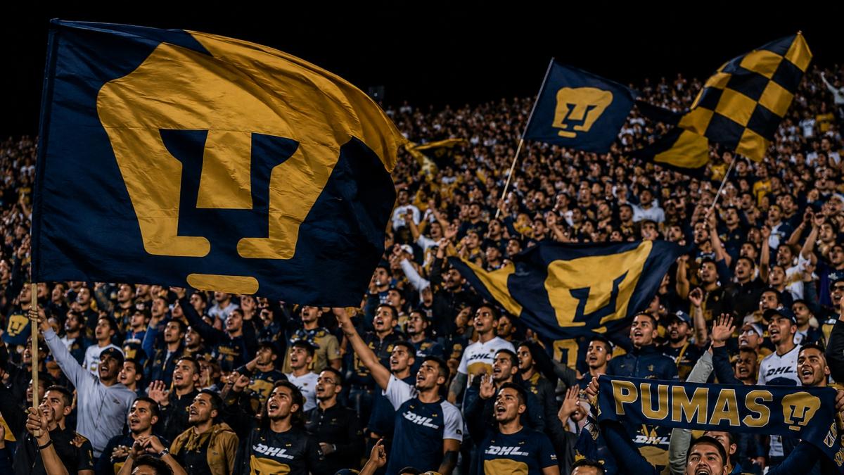 <![CDATA[El Goya de Pumas: Una tradición nacida entre “fugas y coquetería”.]]>