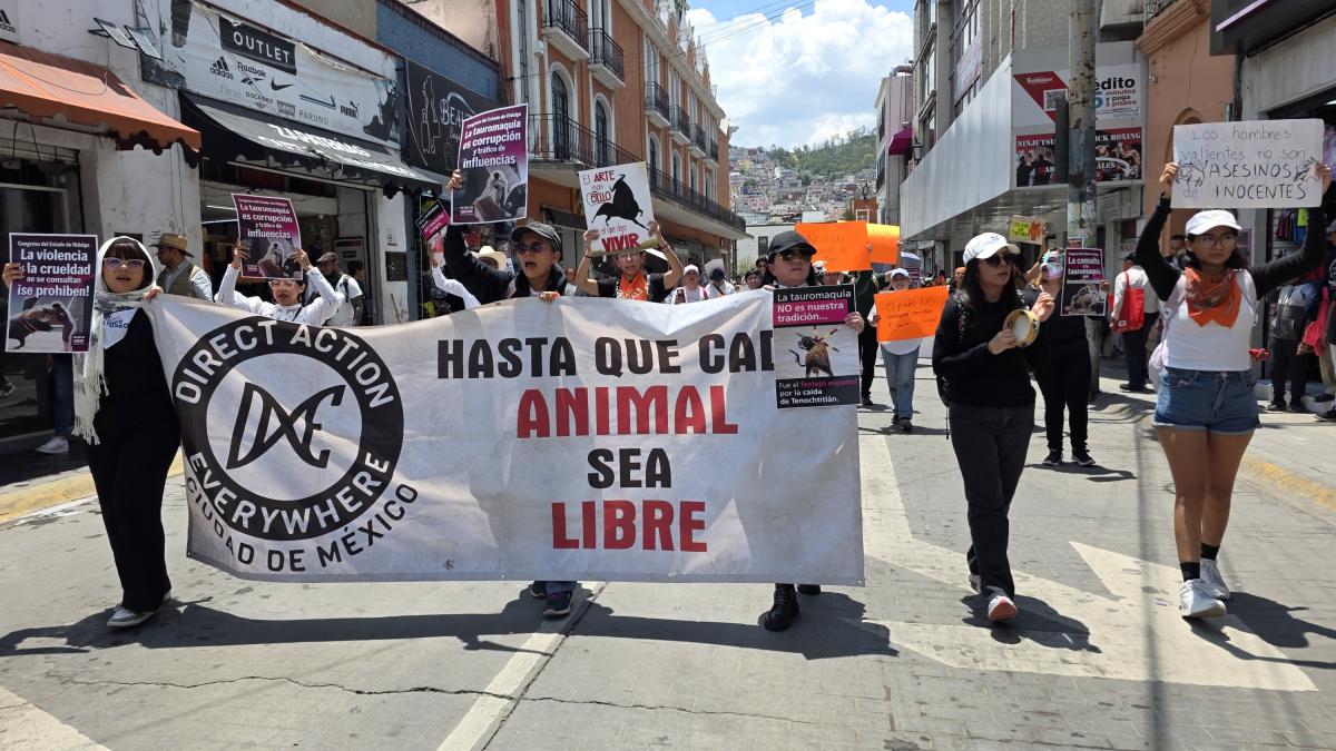 <![CDATA[Animalistas protestan en Pachuca por freno a iniciativa contra corridas de toros]]>