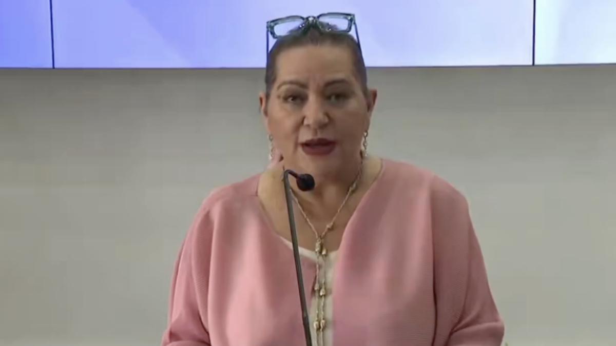 <![CDATA[Ni juez, ni policía: Taddei rechaza que el INE decida qué candidaturas ‘bajar’]]>