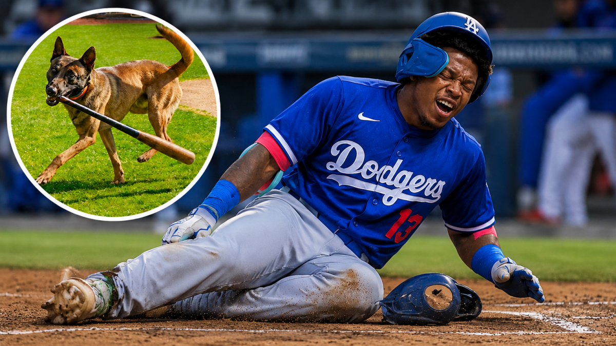 <![CDATA[¿El peor enemigo de los Dodgers? Un lomito suavecito provoca insólita lesión de valioso prospecto]]>