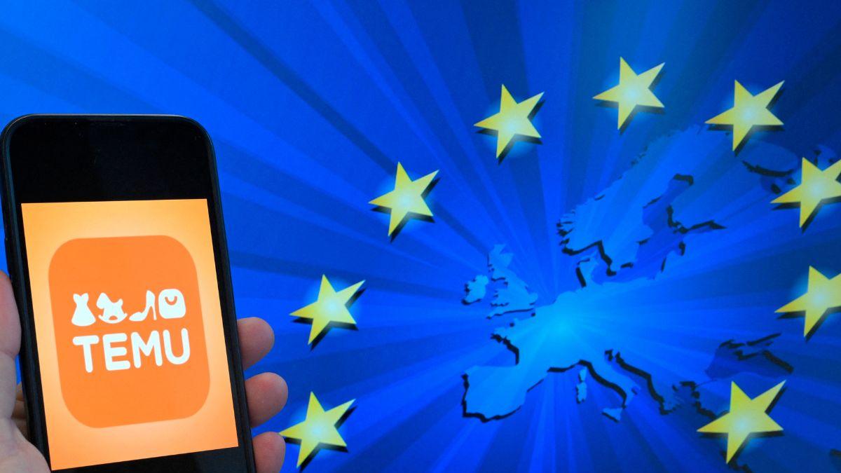 <![CDATA[Multan a Temu en Europa por juguetes peligrosos y cargadores defectuosos]]>