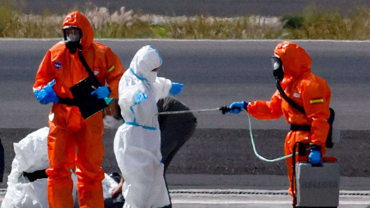 <![CDATA[Brote de hantavirus en crucero deja tres muertos; especialistas ven situación contenida]]>