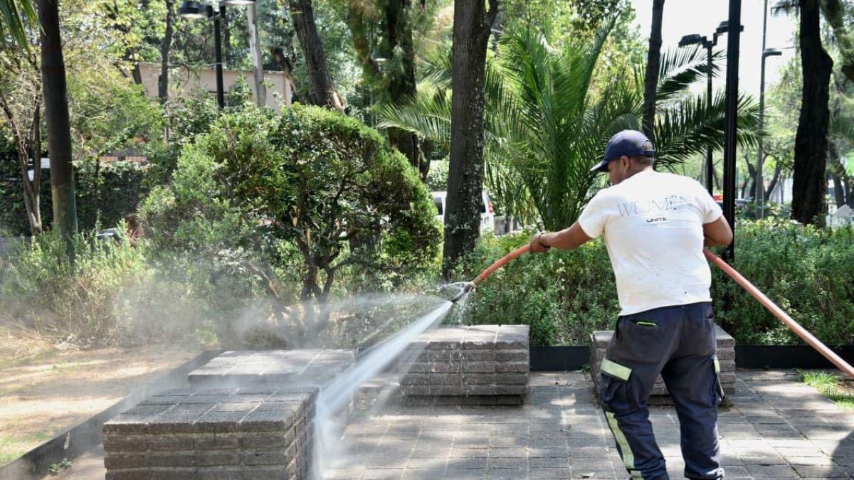 <![CDATA[Alcaldía BJ atribuye problema del arbolado al gobierno capitalino]]>