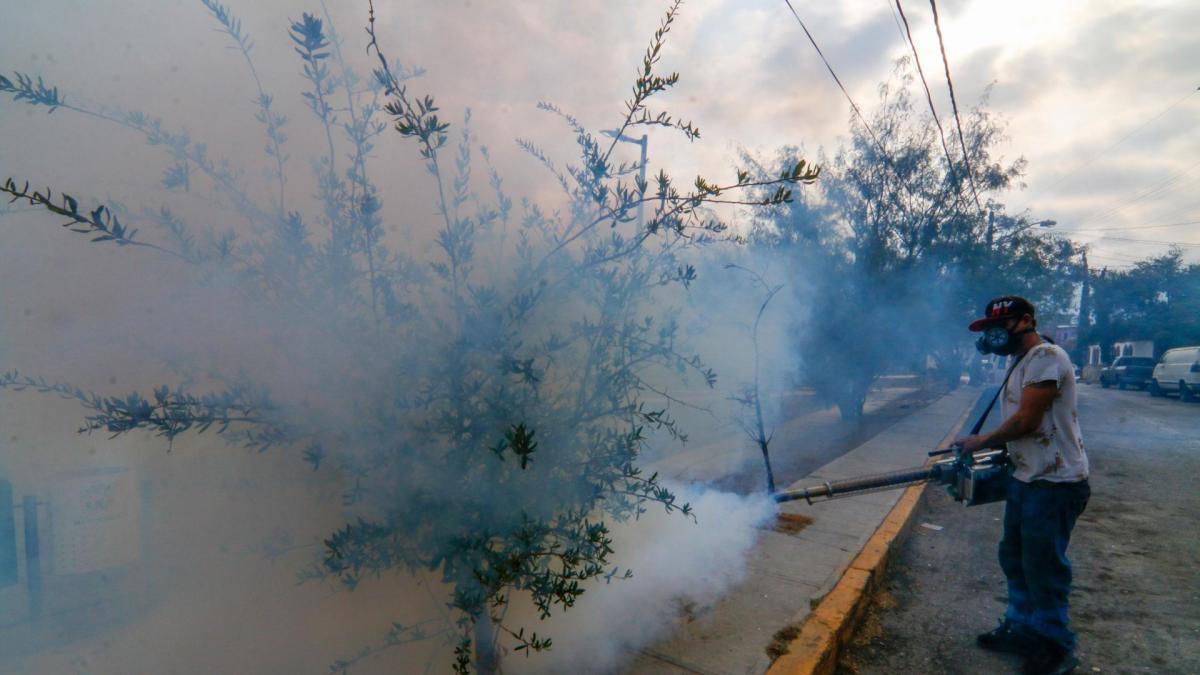 <![CDATA[Suman 4 muertes por dengue y más de dos mil casos en 26 entidades del país]]>