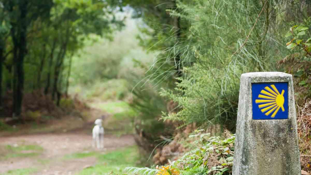 <![CDATA[Qué es el Camino de Santiago y sus rutas]]>
