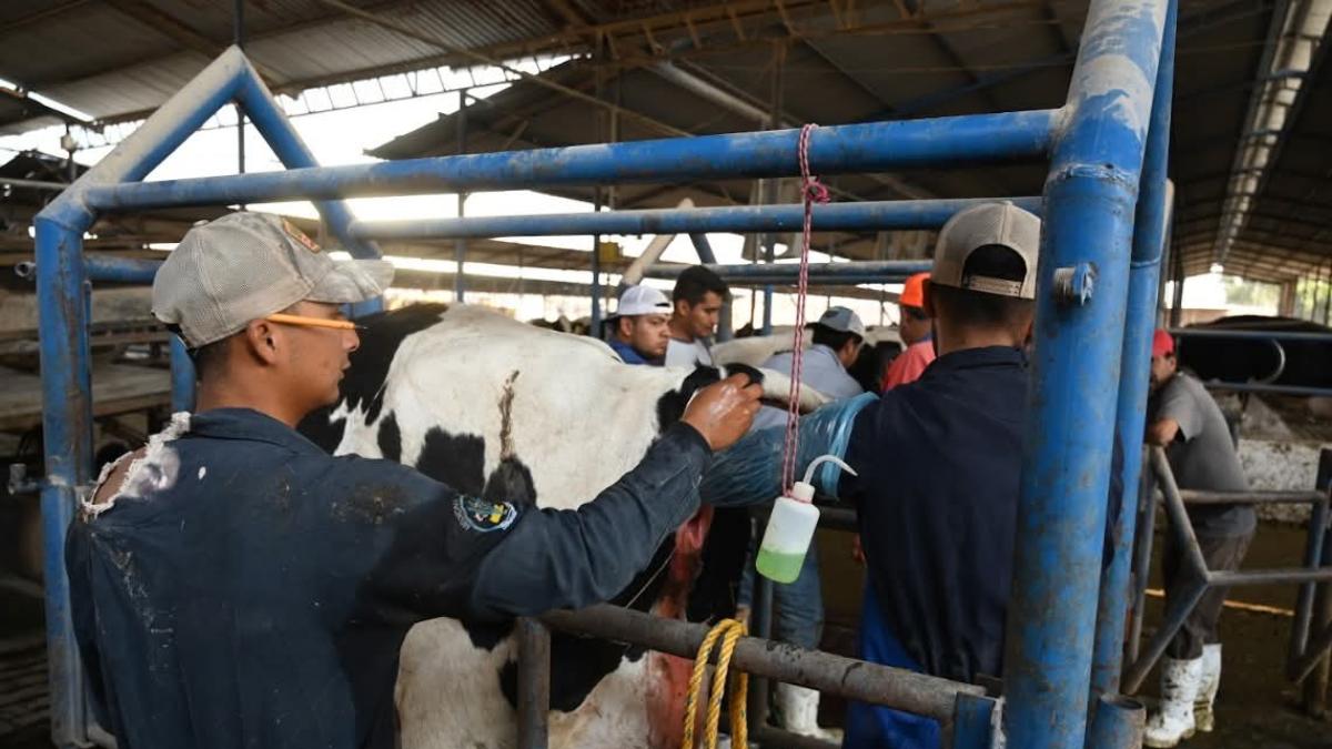 <![CDATA[Hidalgo acumula nueve casos de gusano barrenador en humanos; descartan decesos]]>