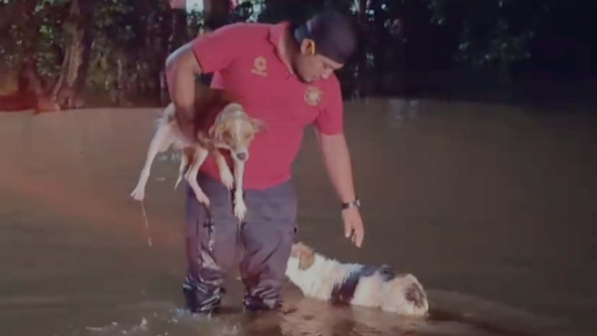 <![CDATA[Fuertes lluvias inundan Campeche; el agua subió un metro en 20 minutos]]>