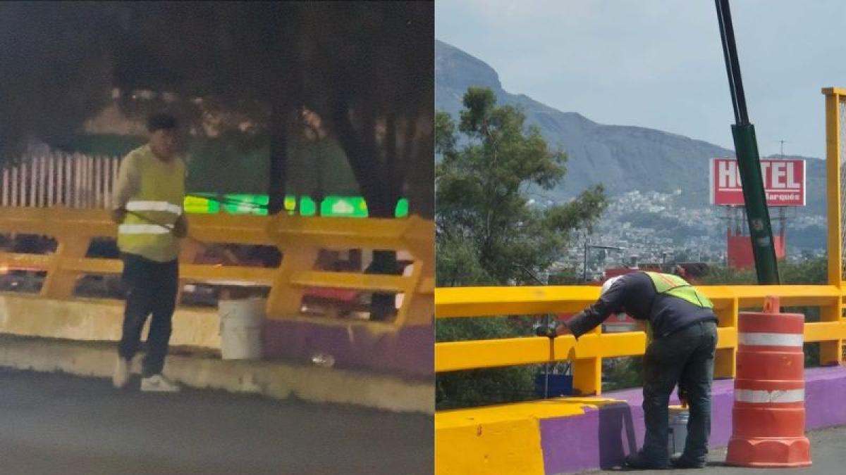 <![CDATA[Denunciarán ante Contraloría por pinta irregular de dispositivos de tránsito]]>