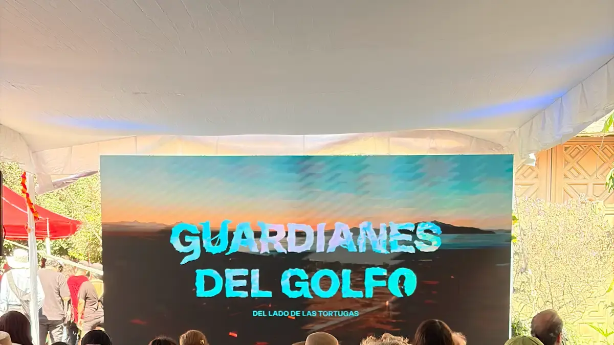 <![CDATA[ONG´s y comunidades exigen a Semarnat declarar hábitat crítico al Golfo de California]]>