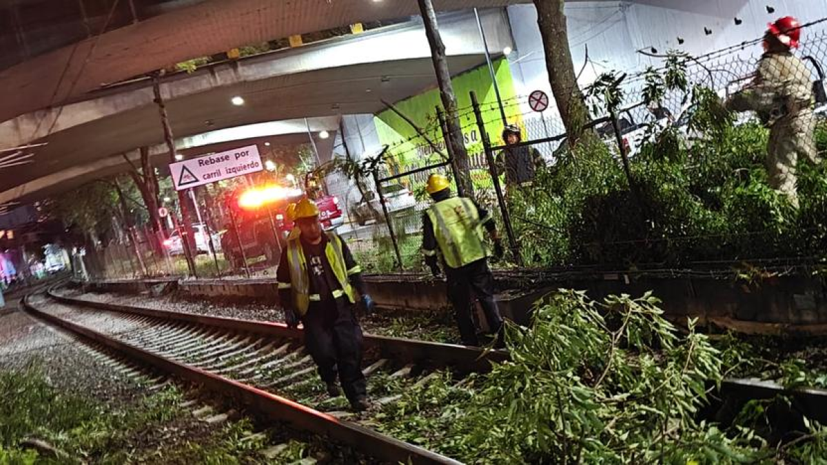 <![CDATA[Por segunda vez en la semana, se suspende el servicio en un tramo del Tren Ligero]]>