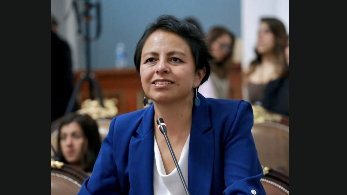 <![CDATA[PAN pedirá un informe detallado al gobierno de la C