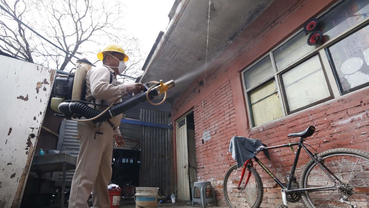 <![CDATA[Casos por dengue aumentan a 2 mil 286 en el país]]>