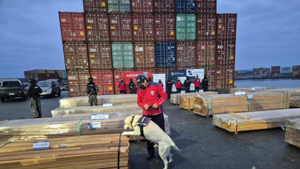 <![CDATA[Chile registró el mayor decomiso de drogas de su hi