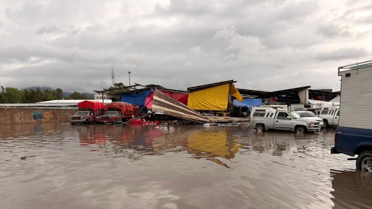 <![CDATA[Lluvias provocan múltiples afectaciones en Tepeji d