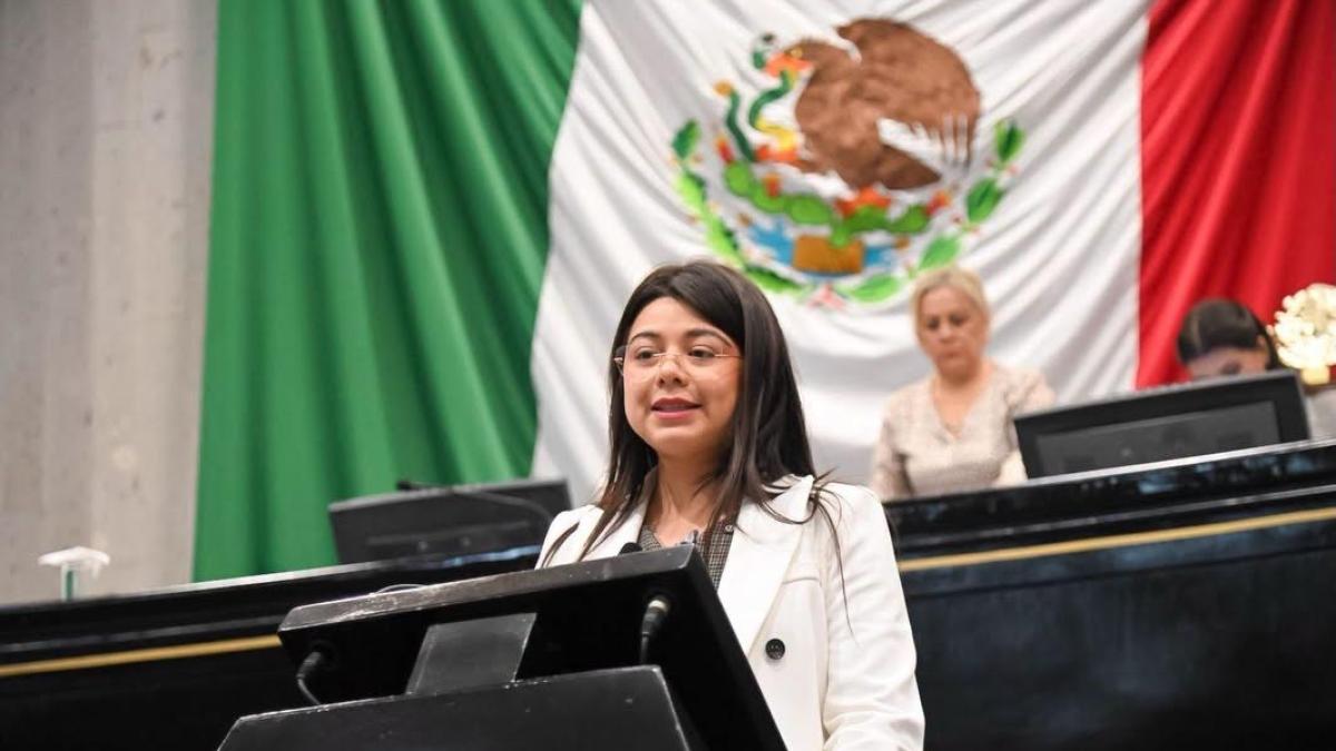 Acusan a diputada de plagiar iniciativas en el Congreso de V