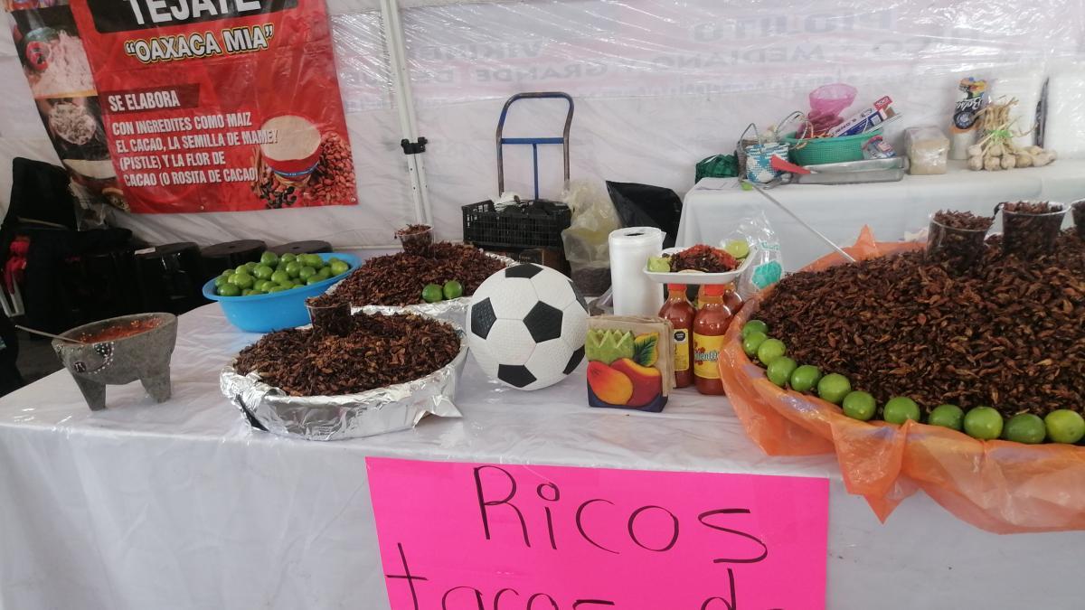 Tacos de chapulines, cocodrilo y jabalí deleitan p