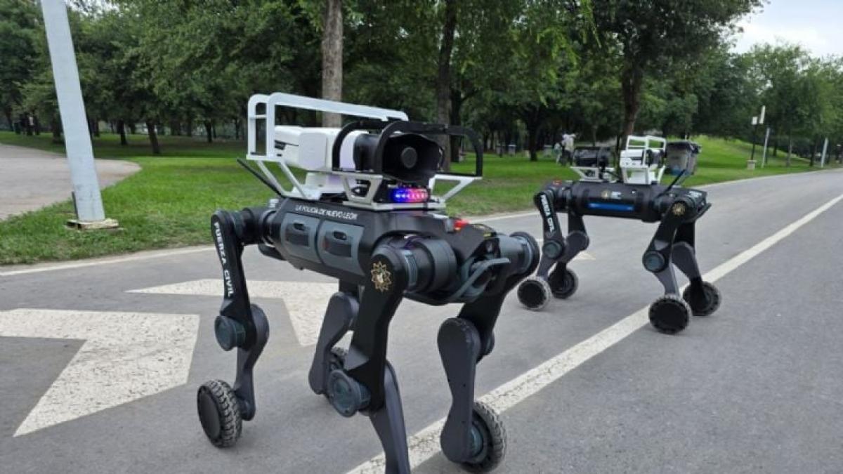 Perros robot colaboran en la vigilancia por el Mundial 2026