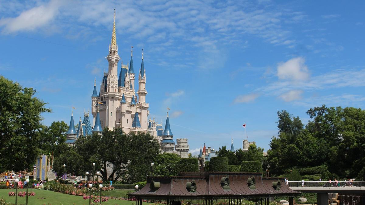 Disney retira más de 400 caimanes a una década de la muerte 
