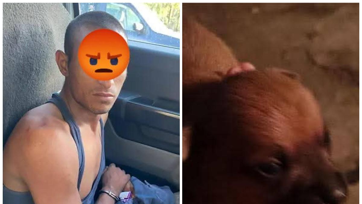 ¡Crueldad animal! Cae sujeto que mató, cocinó y se comió a p