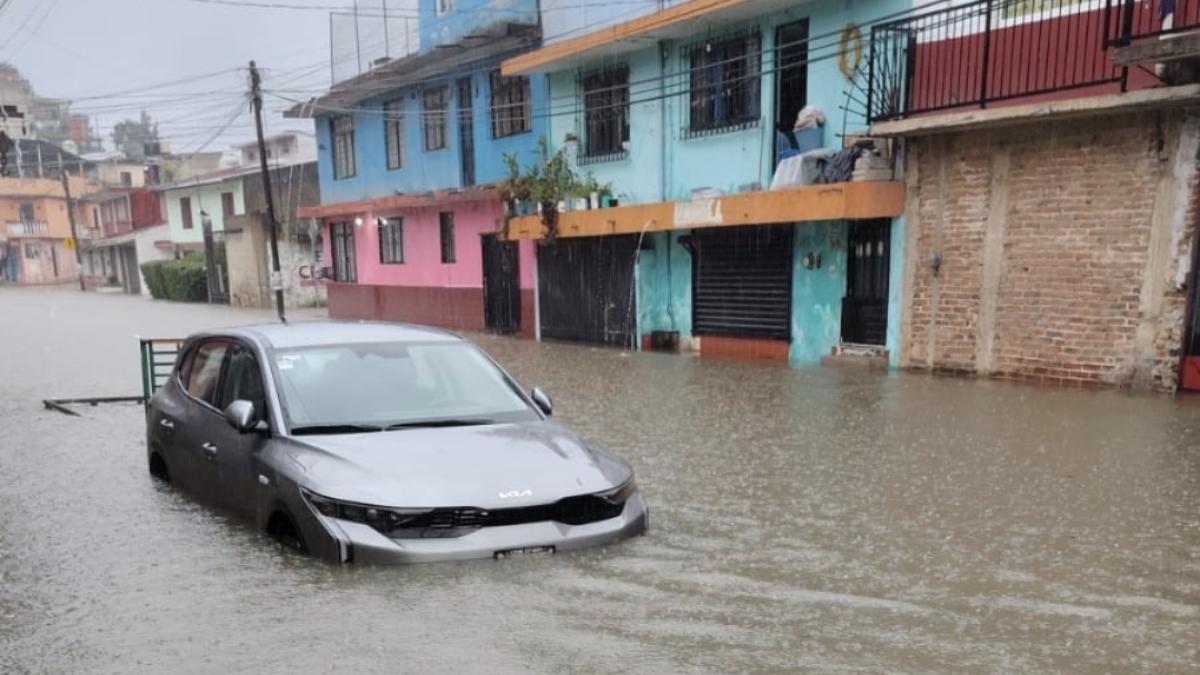 Temporal azota Veracruz: Se desploman árboles en Xalapa e inundaciones en el norte