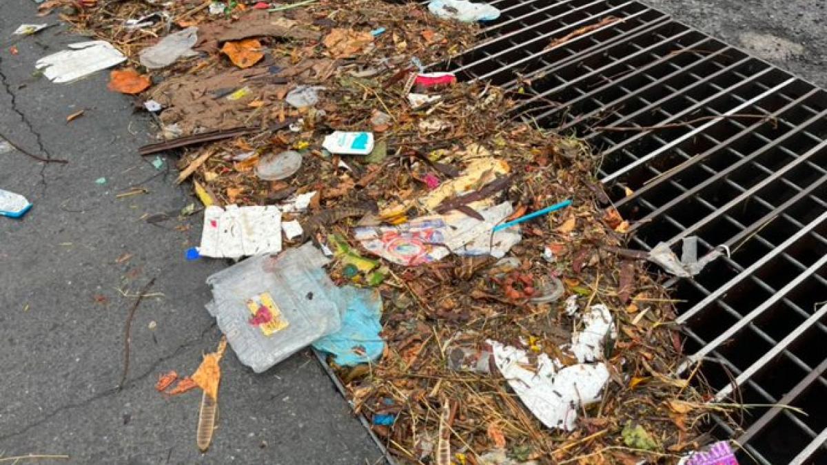 新莱昂州市政将严惩乱扔垃圾行为，最高罚款2.3万比索