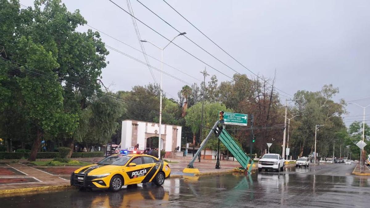 杜兰戈暴雨致交通信号灯和树木倒塌