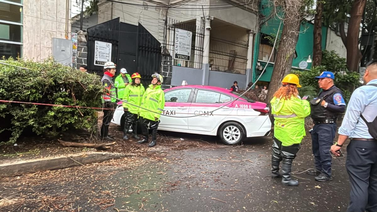 强风致罗马区树枝砸中出租车，电线杆受损
