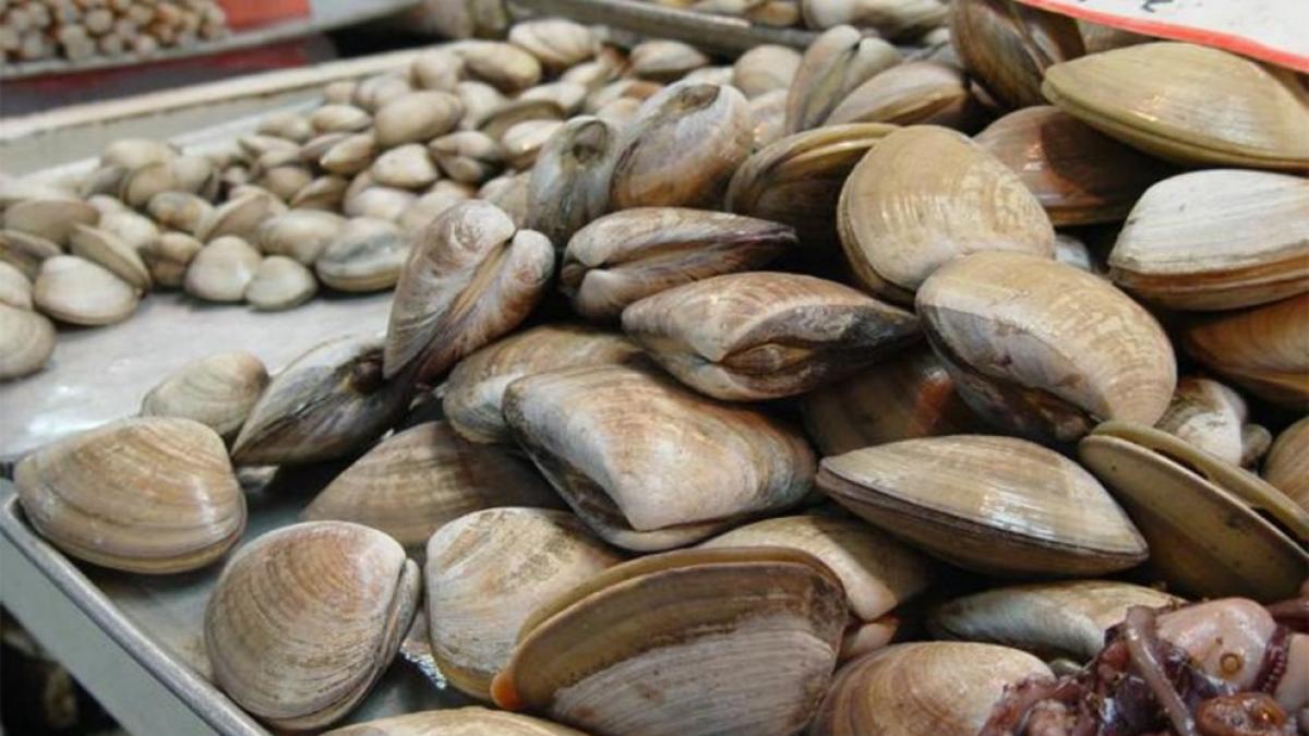 科尔特斯海禁渔：联邦卫生风险保护委员会发现致命毒素