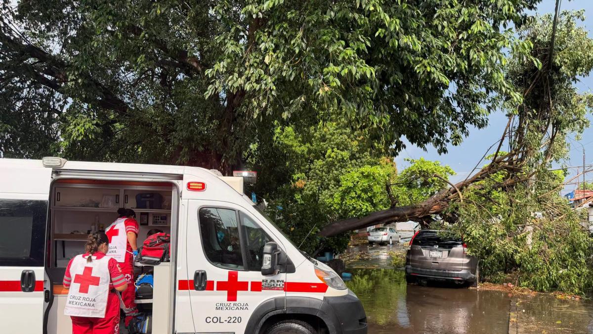 科利马突发暴风雨致1人受伤 70余起事故多地停电