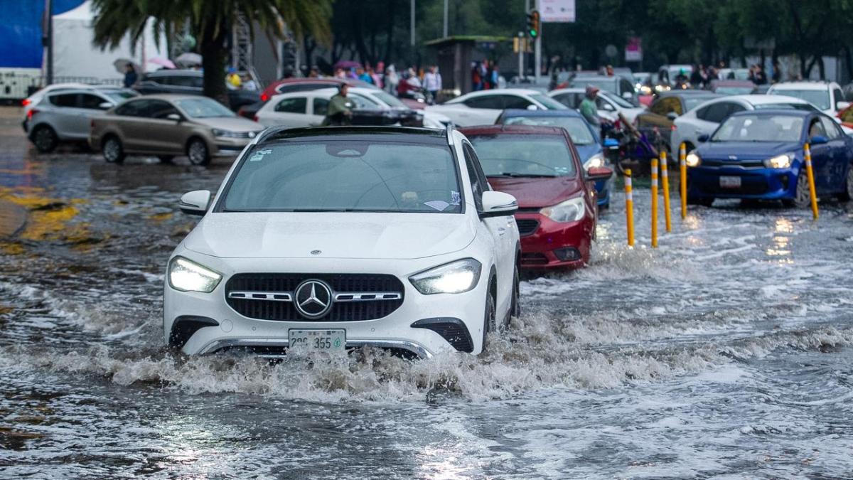 Tormenta en CDMX provoca encharcamientos y caída de árboles