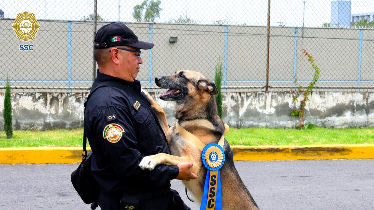 墨西哥城监狱系统6只警犬光荣退役 服务8年后安享晚年