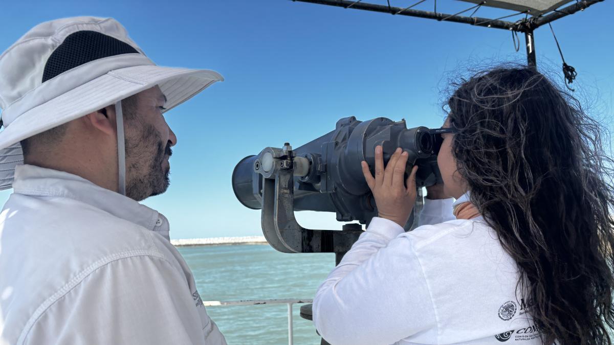 Día Mundial de la Vaquita Marina; participación comunitaria clave en su conversación