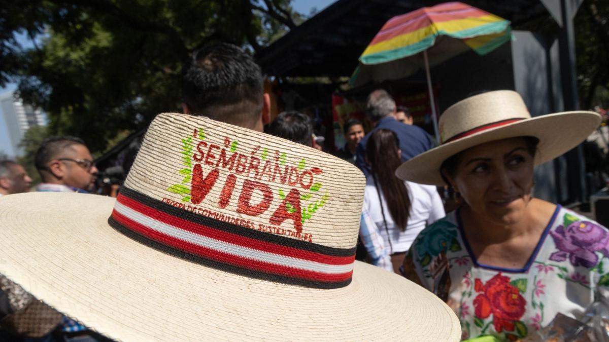 Certain beneficiaries are receiving today’s welfare payment, and Sembrando Vida deposits are also being made