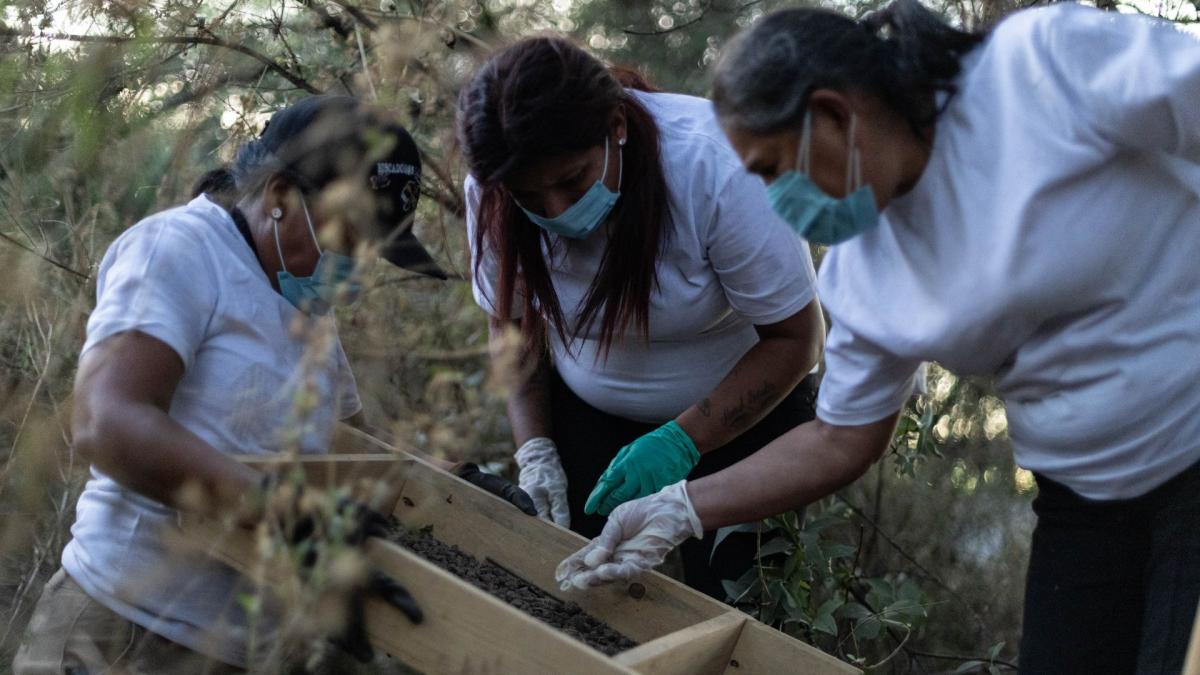 Mexico plans a national DNA bank to speed up identification of missing people